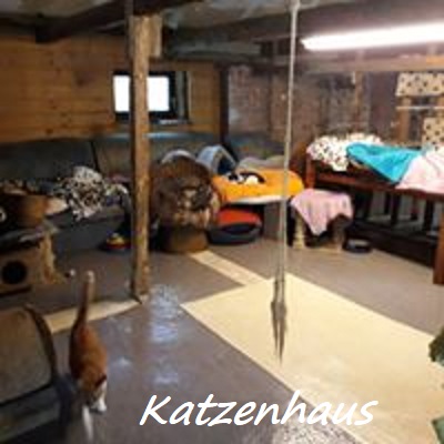 Katzenhaus
